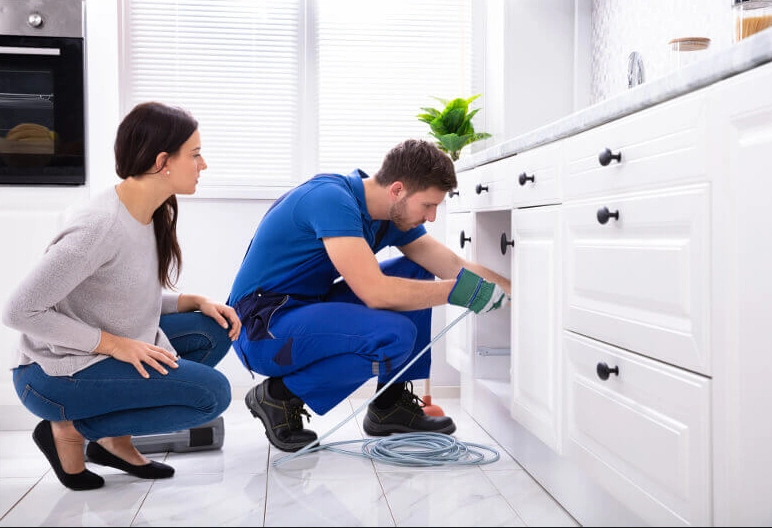 drain inspection service