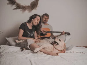 Pet care without clinic visits
