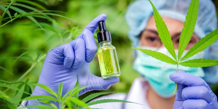 CBD Quality Standards for Brand Trust