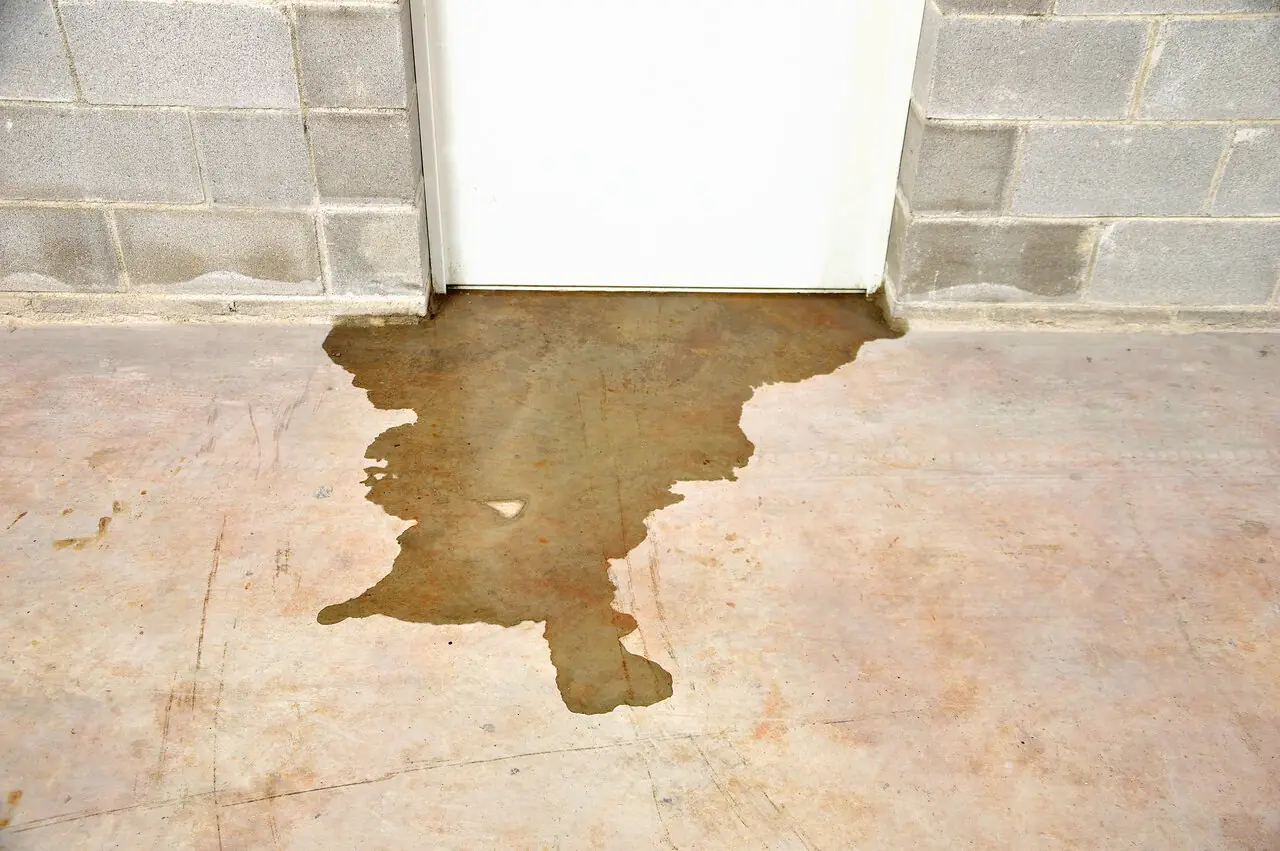 Recognizing Sewer Line Damage