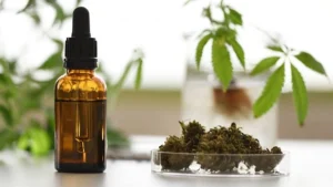 cbd supplier quality standards